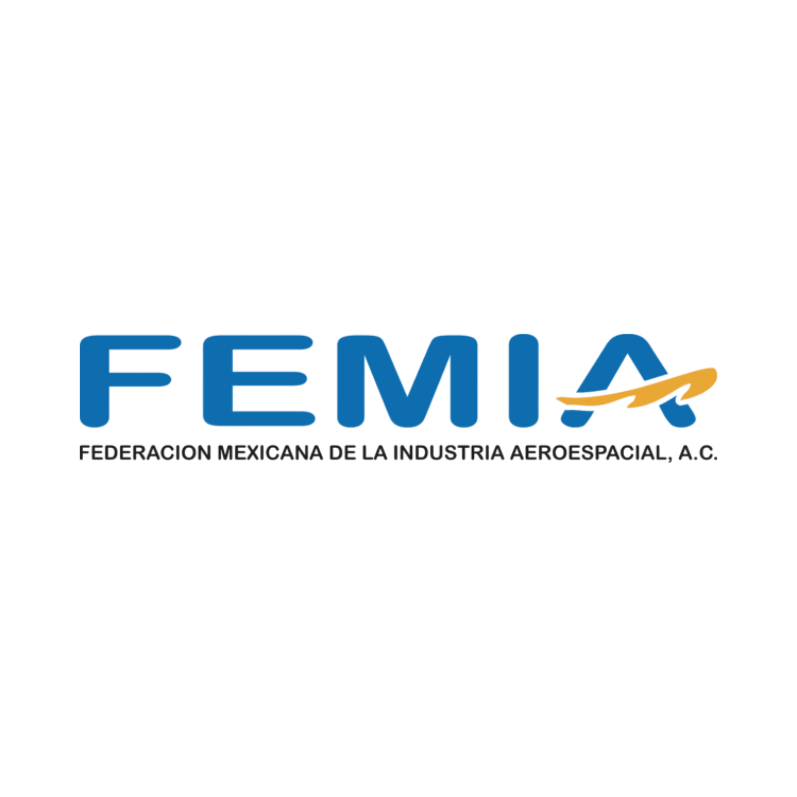 Mexican Federation of the Aerospace Industry (FEMIA)